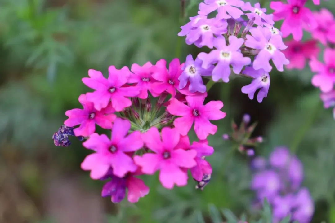 济南旅游,高性价比民宿/酒店/住宿推荐