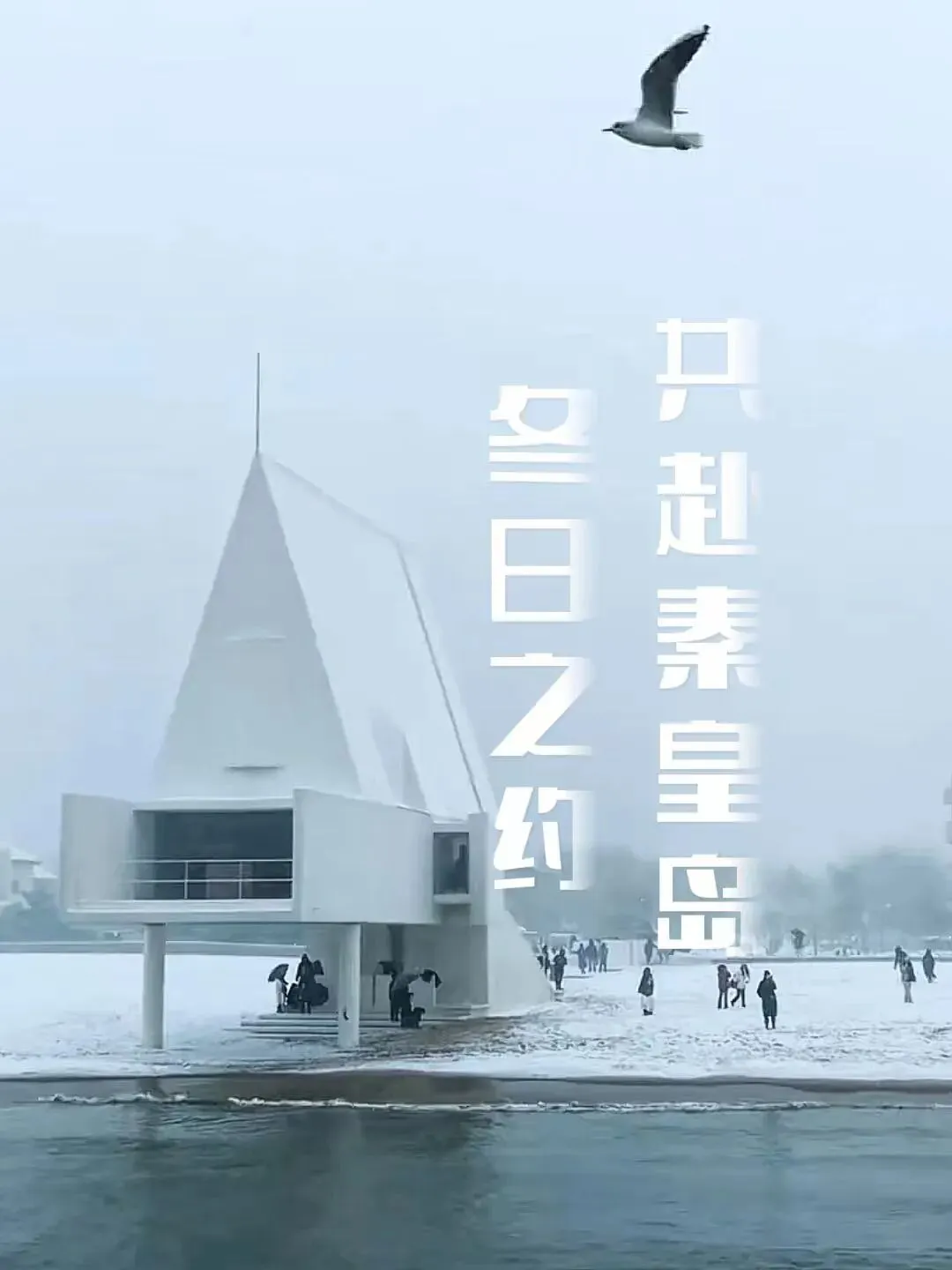 冬游河北 戏冰雪 | 推荐冬季旅游好去处第八集:冬日之约 共赴秦皇岛!