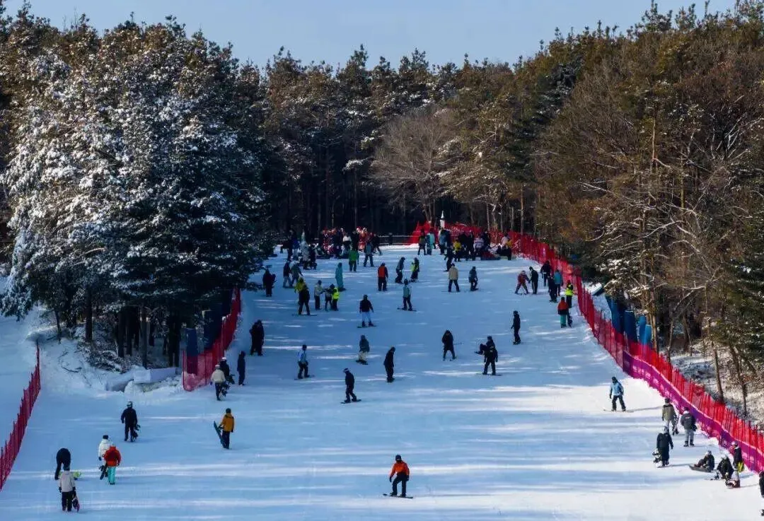 大量俄罗斯游客涌入吉林长春,打着旅游幌子不逛伪满皇宫不吃一汽食堂红烧肉,为什么