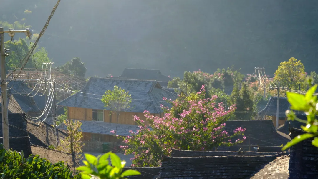 什么是真正的生态旅游?|一个从业20年向导的定义与反思