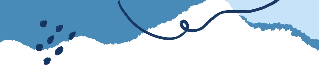 西岭雪山景区机械狗“上岗”拉雪橇,快来解锁更多新玩法~