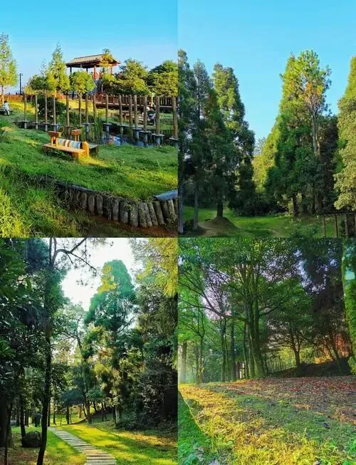 大量日本游客涌入福州,打着旅游幌子不逛三坊七巷不吃佛跳墙,为什么