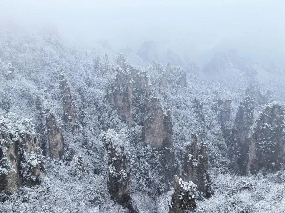 二月张家界旅游攻略 春节错峰+雾凇仙境+民俗盛宴,避坑全指南