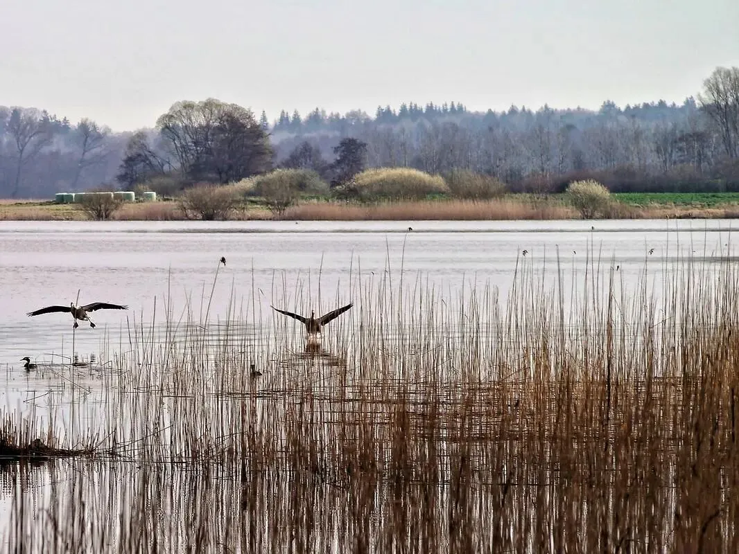大量土耳其游客涌入湖南益阳,打着旅游幌子不逛茶马古道不吃擂茶,真相曝光