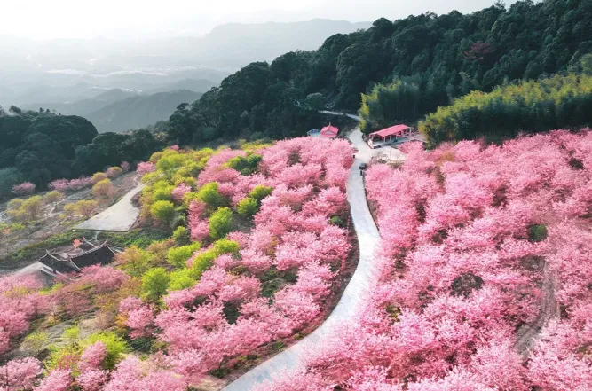 1月到3月适合去的6个宝藏旅游地