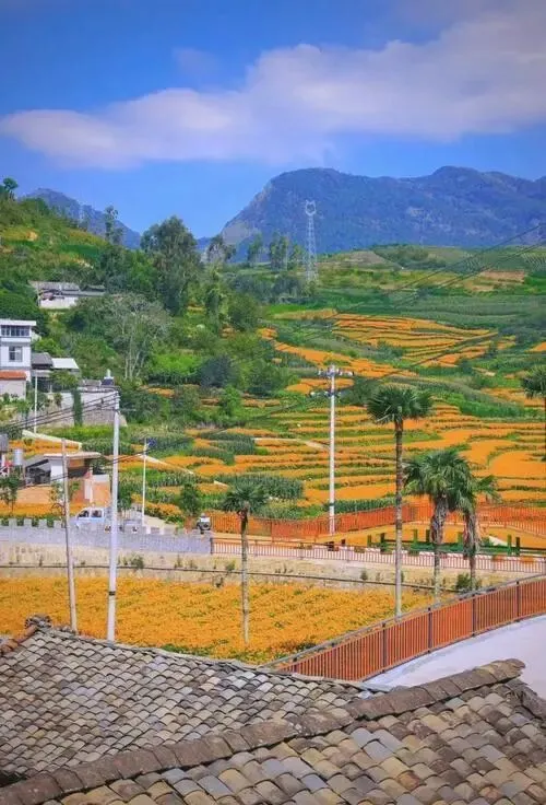 大量匈牙利游客涌入云南保山,打着旅游幌子不逛和顺古镇不吃土锅子,为什么?