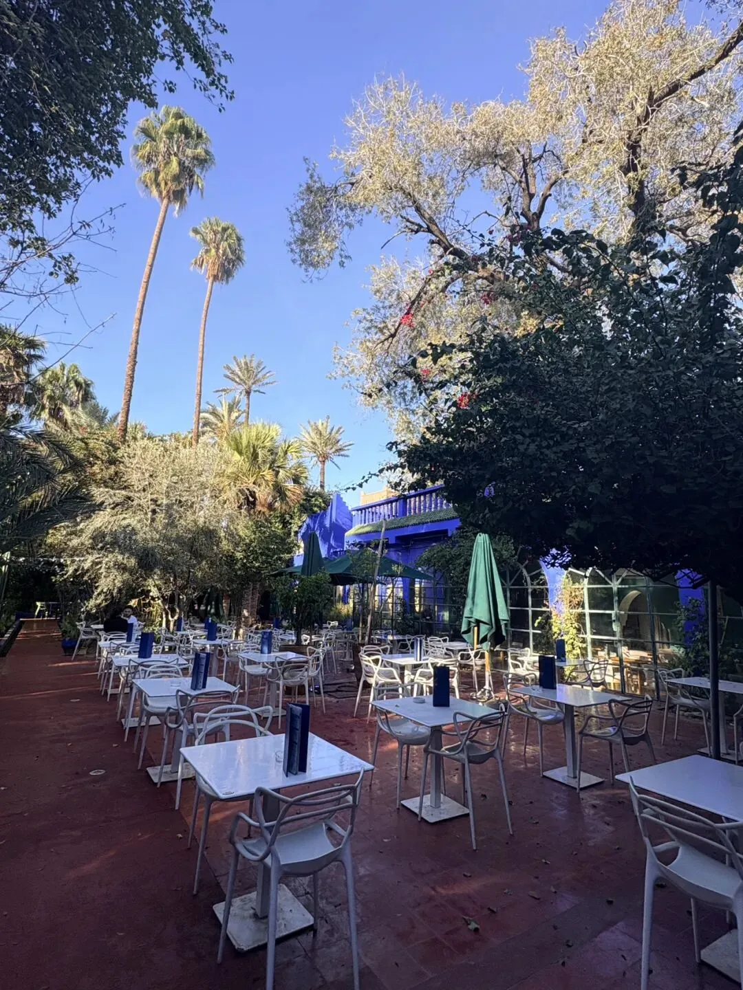 一个中国退休教师在摩络哥旅游的九个惊吓和1个惊喜