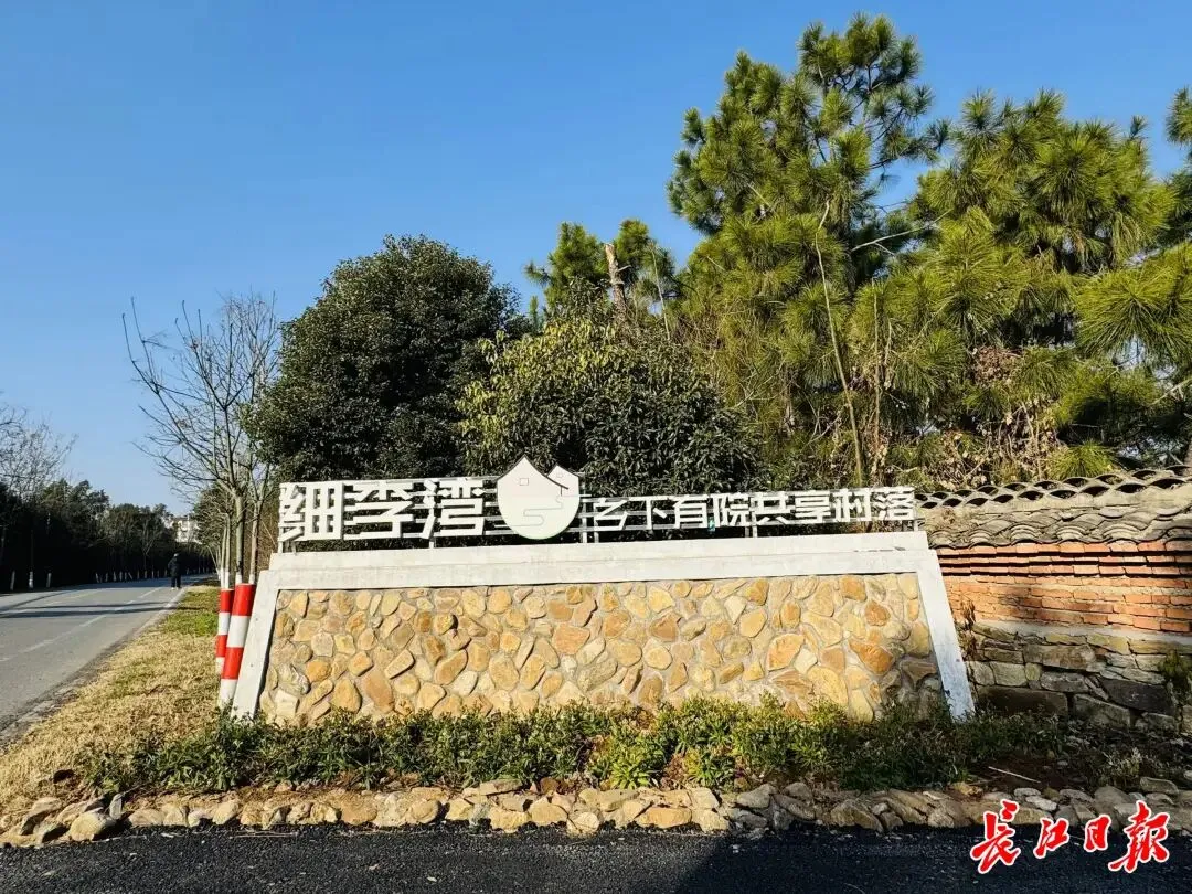 新洲闲置村屋盘活了,村民变股东、村庄变景区