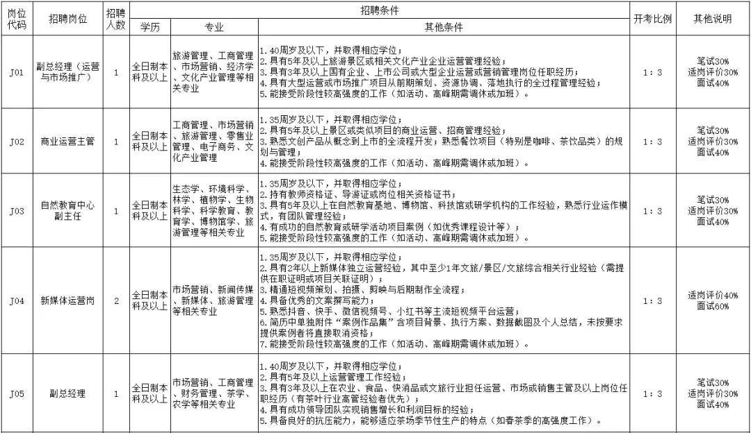 云台山景区区属国企下属子公司2026年公开招聘工作人员公告