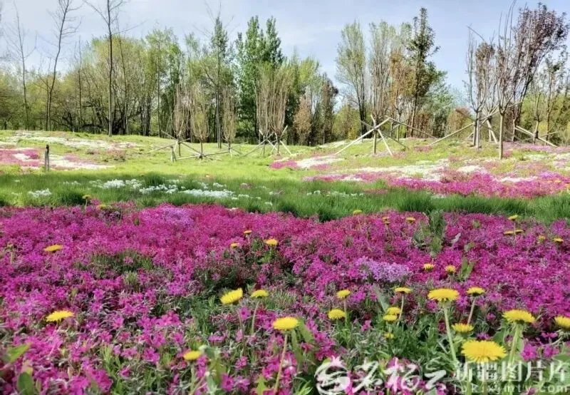 乌鲁木齐再添3A级景区!