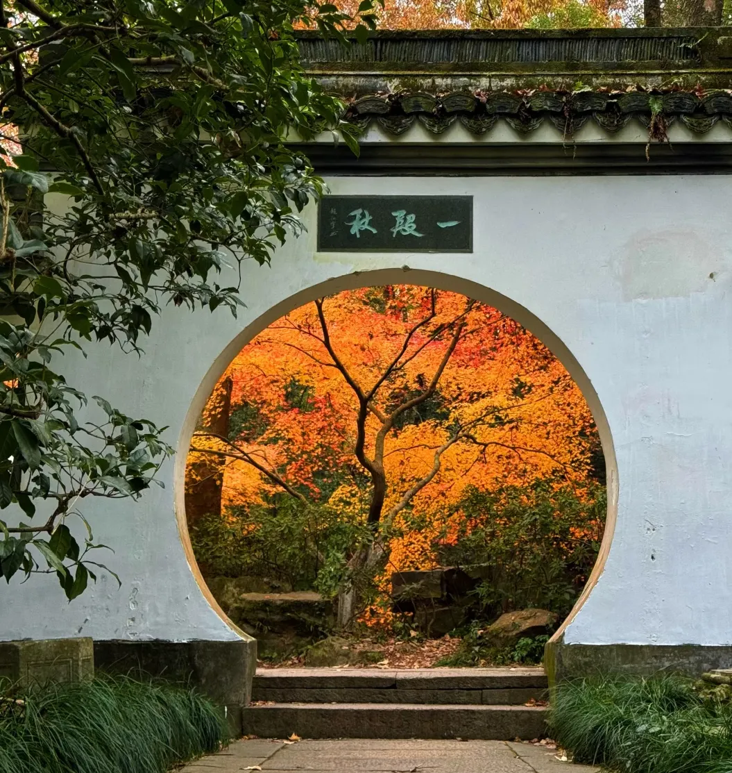 大量泰国游客涌入杭州,打着旅游幌子不逛西湖不吃东坡肉,为什么