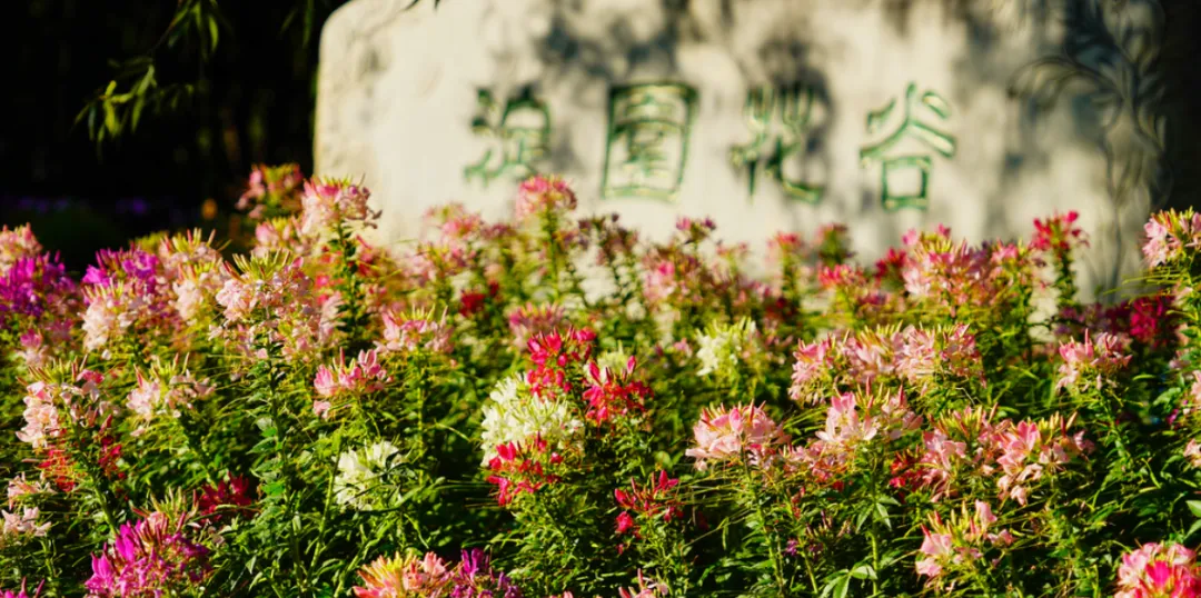 【北京景点日语介绍】海淀公园(中日双语)