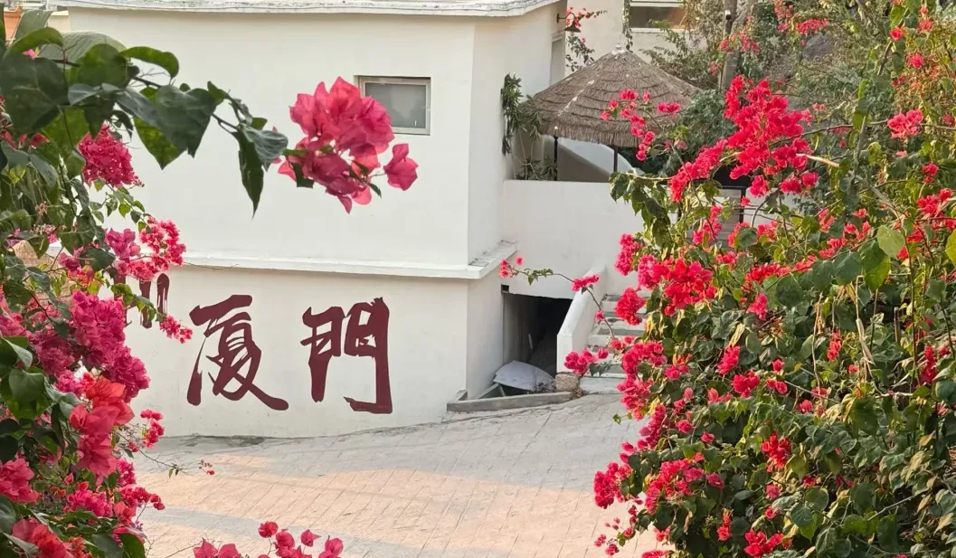 大量泰国游客涌入厦门,打着旅游幌子不逛鼓浪屿不吃沙茶面,为什么