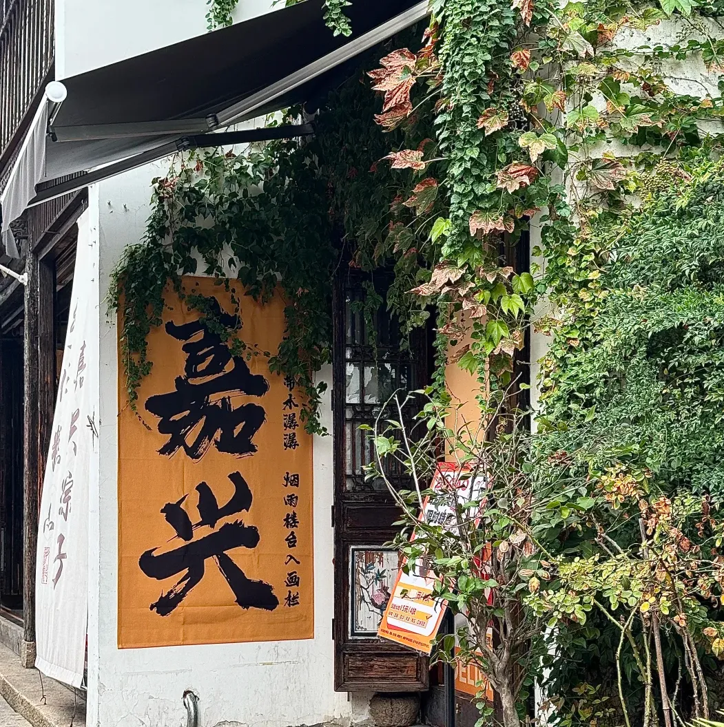 大量泰国游客涌入嘉兴,打着旅游幌子不逛南湖不吃粽子,为什么