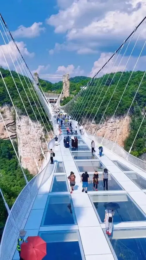 大量欧美游客涌入张家界,打着旅游幌子不逛国家森林公园不吃三下锅,为什么