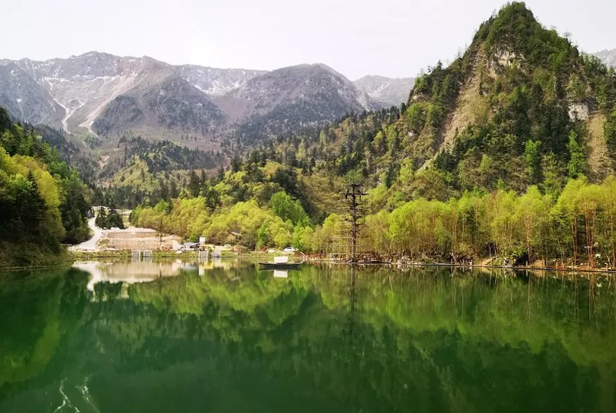 大量四川人涌入甘肃陇南,说是来旅游,不去官鹅沟不吃洋芋搅团,想干哈