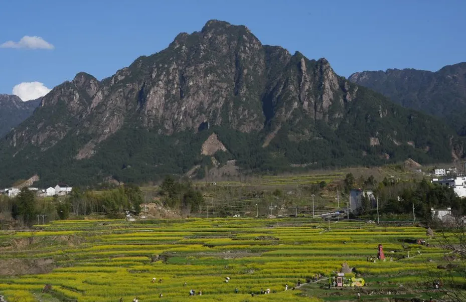 1名外国游客涌入安徽绩溪县,说是来旅游,不逛徽村不吃臭鳜鱼,想干哈