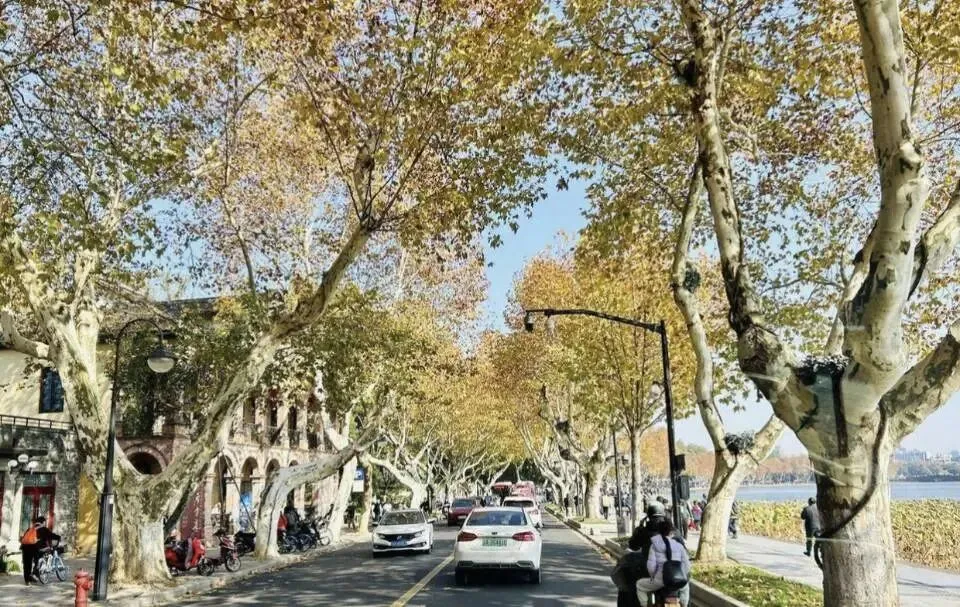 杭州西湖北山路著名景点一览--一街尽藏西湖诗