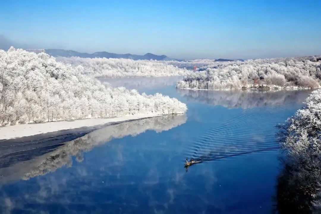 大量俄罗斯游客涌入广西桂林,打着旅游幌子不逛漓江不吃桂林米粉,为什么