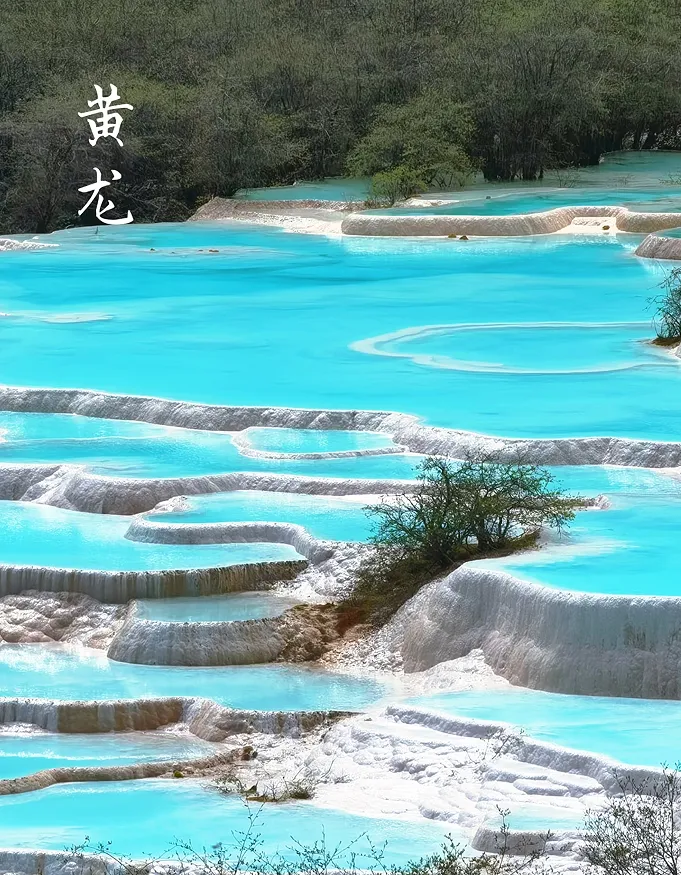 2026最新旅游攻略,如果你是第一次去四川,这篇攻略一定用得着!!!