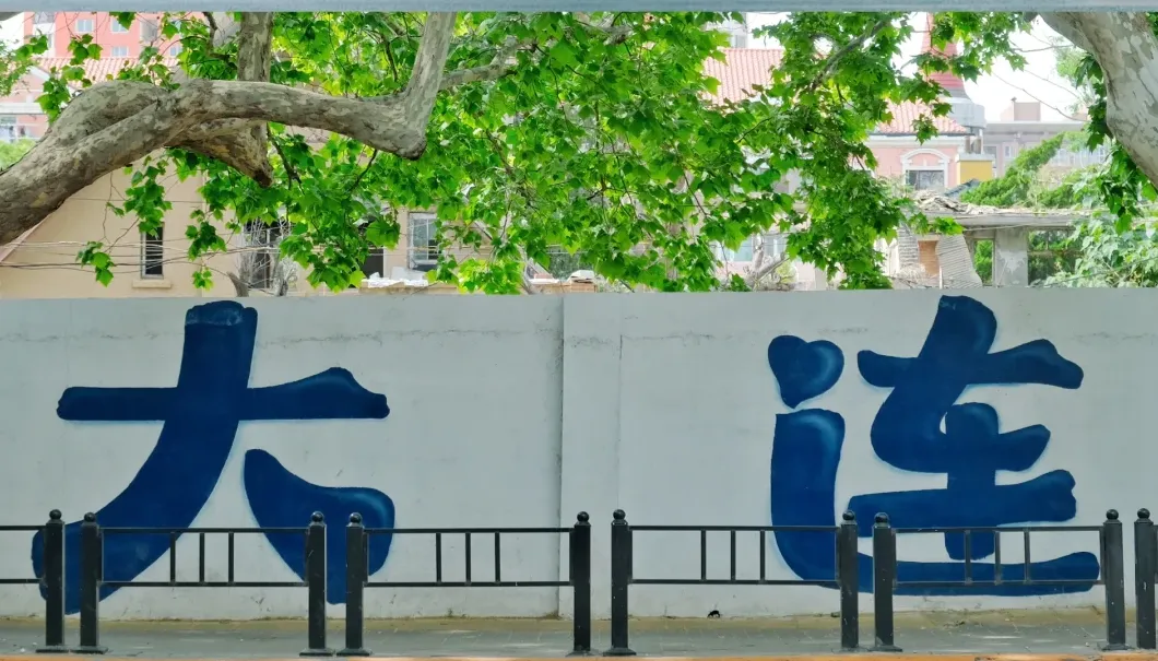 大量日本游客涌入辽宁大连,打着旅游幌子不逛星海广场不吃海胆饺子,为什么