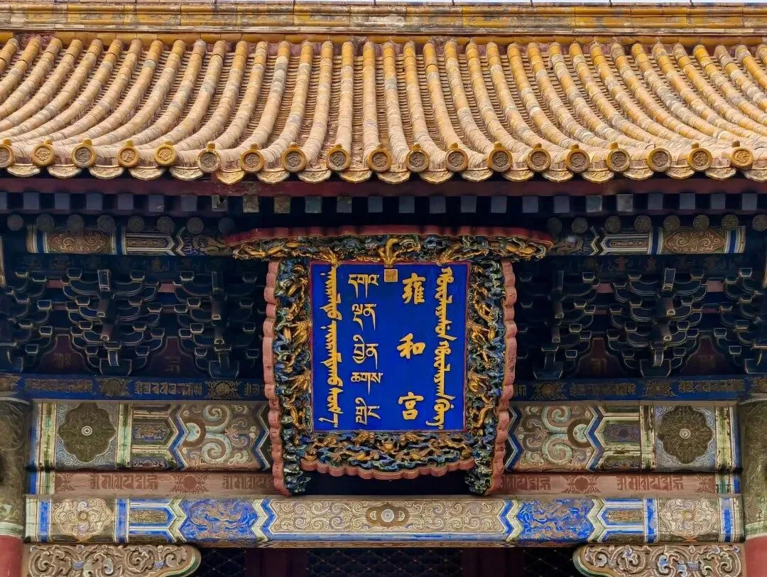 大量日本游客涌入北京,打着旅游幌子不游故宫不吃北京烤鸭,为什么