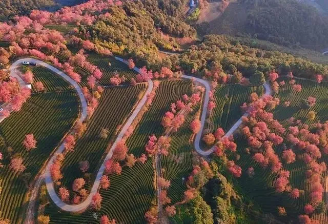 云南最美的七个景点,在云南过个暖冬吧!