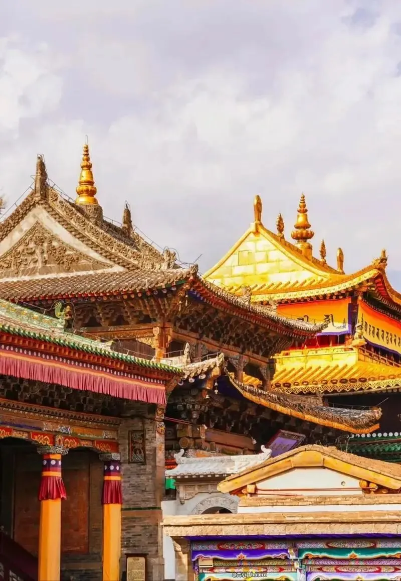 大量日本游客涌入青海西宁,打着旅游幌子不逛青海湖不尝手抓羊肉,为什么