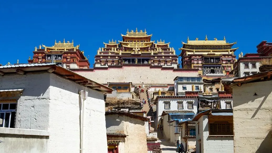 大量日本游客涌入云南香格里拉,打着旅游幌子不逛普达措不吃青稞饼,为什么