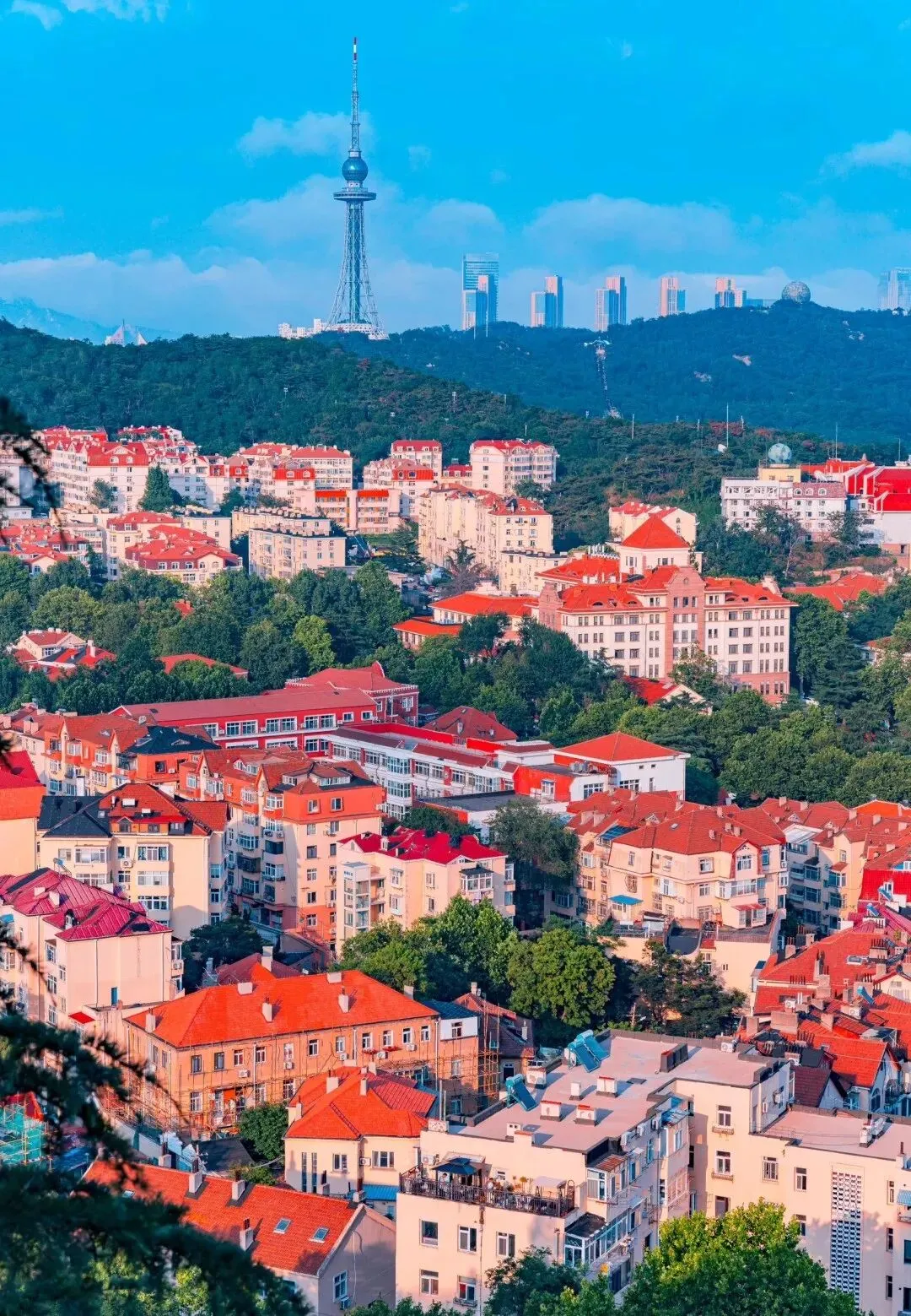 大量日本游客涌入青岛,打着旅游幌子不游栈桥不喝青岛啤酒,为什么?