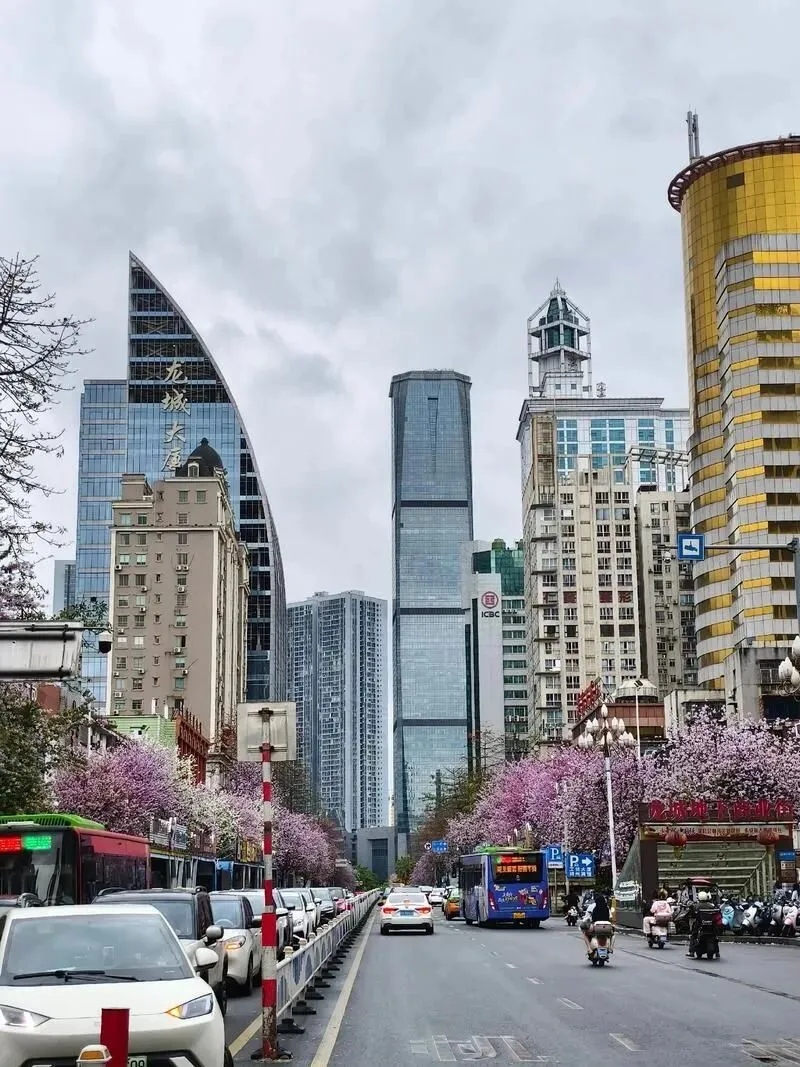 大量日本游客涌入柳州,打着旅游的幌子,不逛工业博物馆,不吃螺蛳粉,为什么?