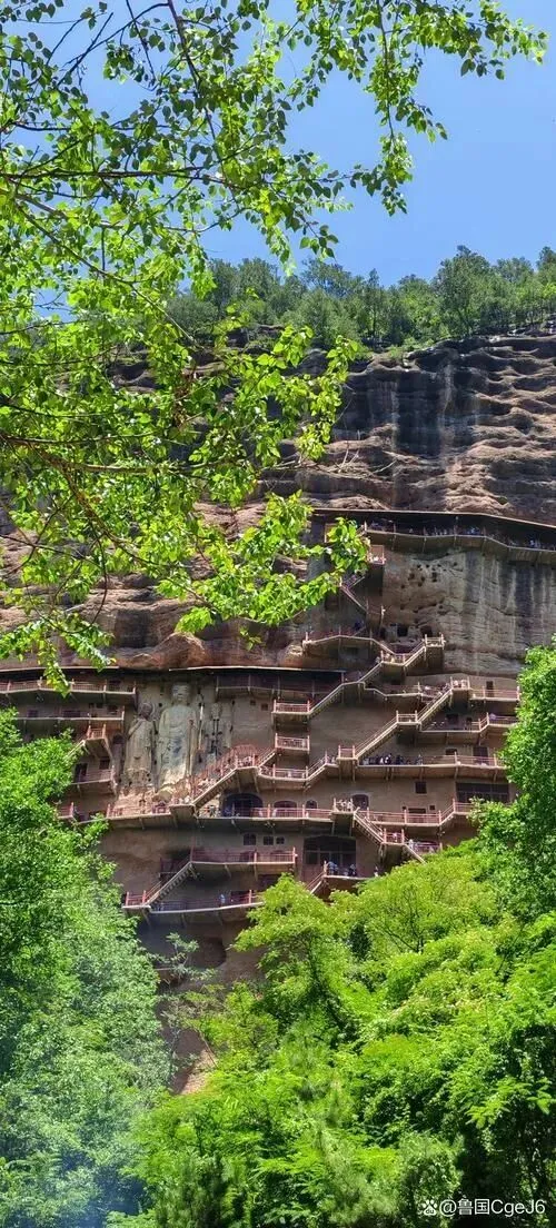 大量日本游客涌入天水,打着旅游的幌子,不逛麦积山石窟,不吃呱呱,为什么?
