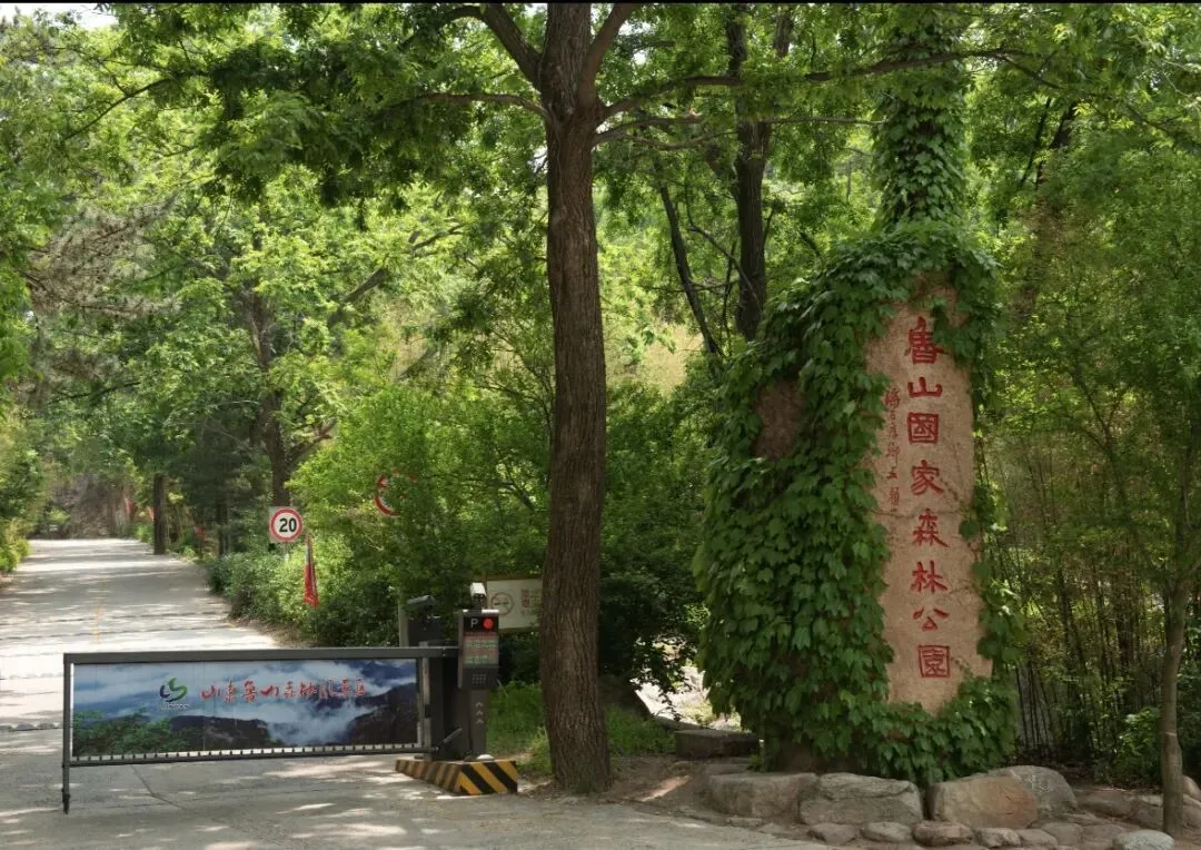 大量日本游客涌入山东沂源,打着旅游幌子不爬鲁山不吃大锅全羊,为什么