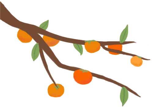 半价优惠!1月31日雁荡山核心景区两日休闲游,精华景点一网打尽!