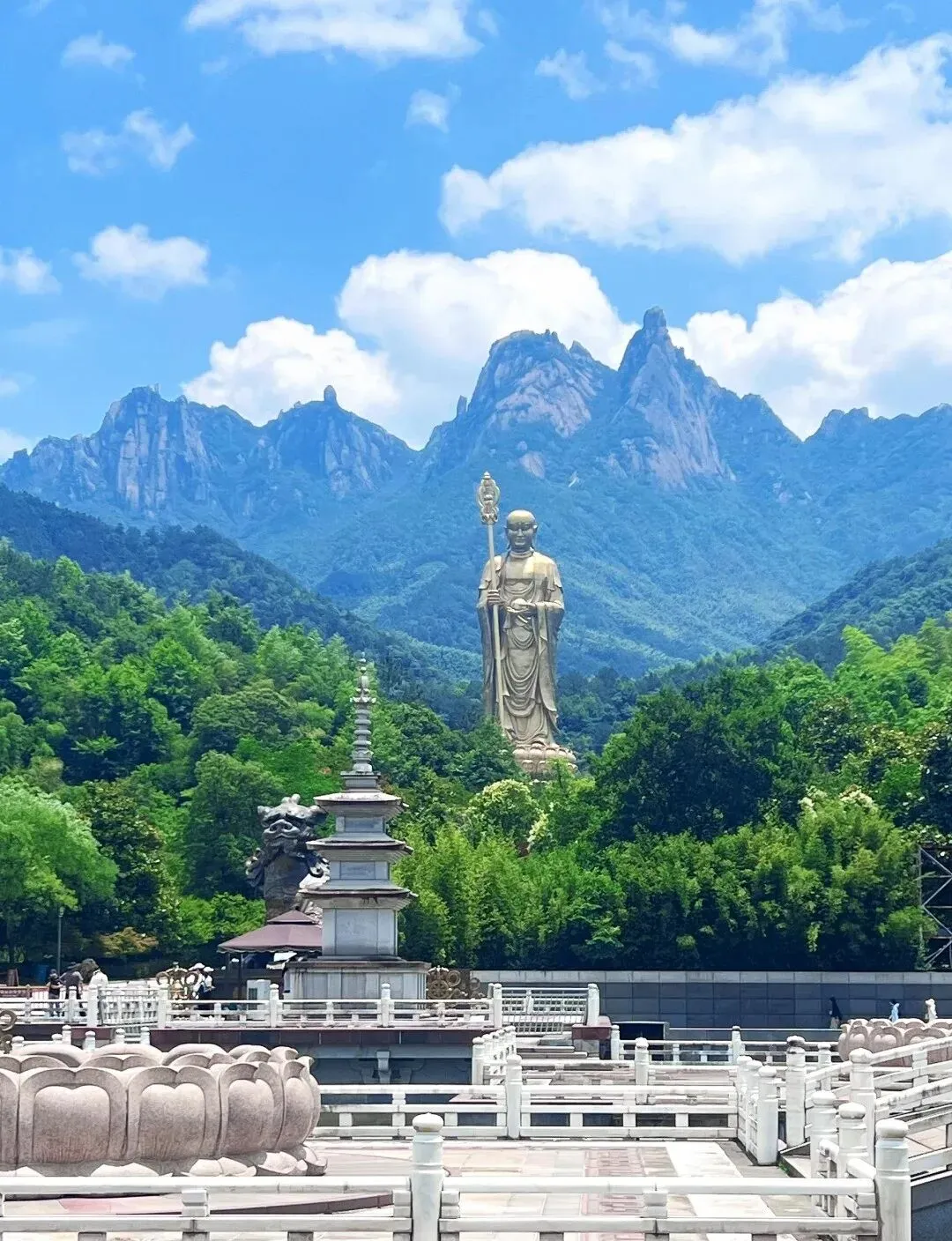 大量日本游客涌入池州,打着旅游幌子不去九华山不喝九华黄精茶,为什么?