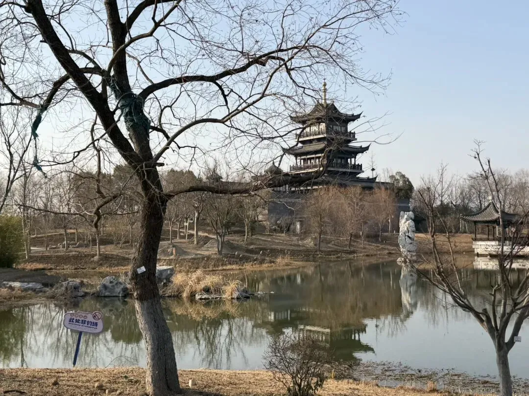 景区拓展研学业务的方向与成效的关键是什么?