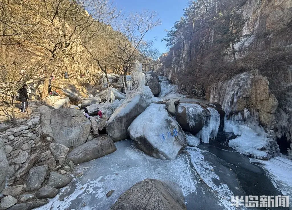 山东一景区宣布:属“马”的游客免门票!