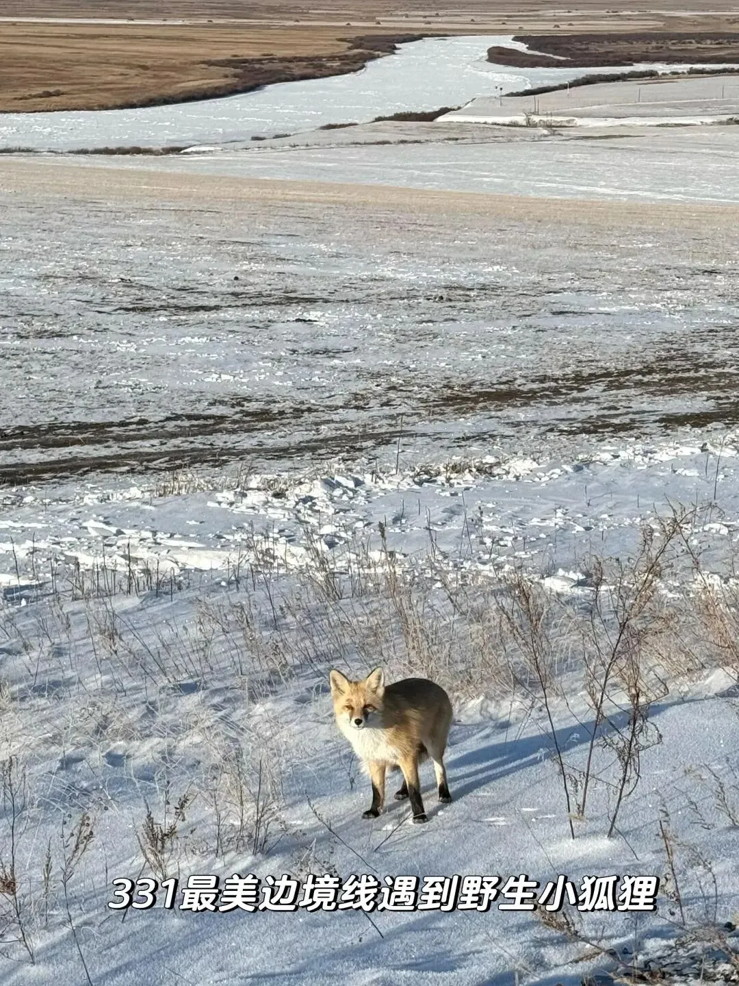 呼伦贝尔旅游已回,我的消费观崩塌了!!!