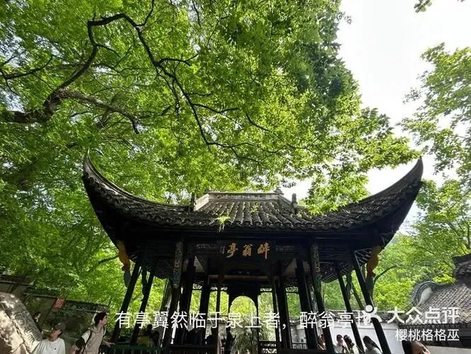 大量日本游客涌入滁州,打着旅游的幌子,不逛琅琊山,不吃管坝牛肉,为什么?