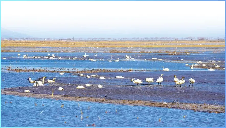 大量呼和浩特游客涌入包头,打着旅游的名义,不吃羊杂碎不看草原,想干嘛?