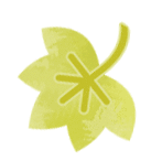 小溪独语 || 汪培勇泰山景点诗(九)