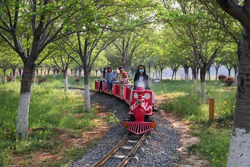 旅游观光电动小火车怎么安装?