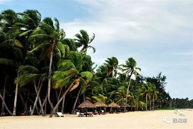 海南旅游:环岛自驾游路线