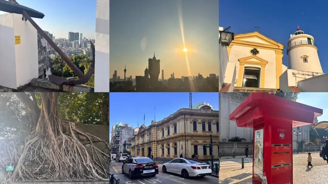 你现在的旅游搭子是谁?