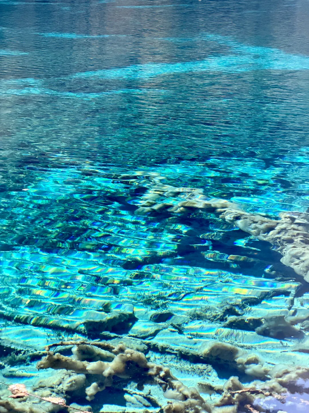 四川旅游口碑之选|优质旅行服务品牌推荐