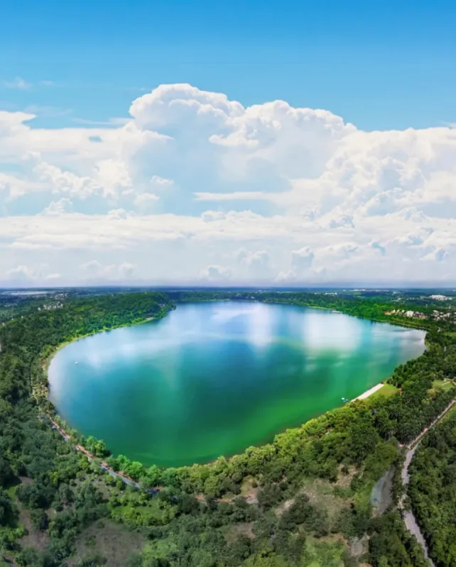 大量日本游客涌入湛江,打着旅游幌子不游湖光岩不吃湛江海鲜,为什么?