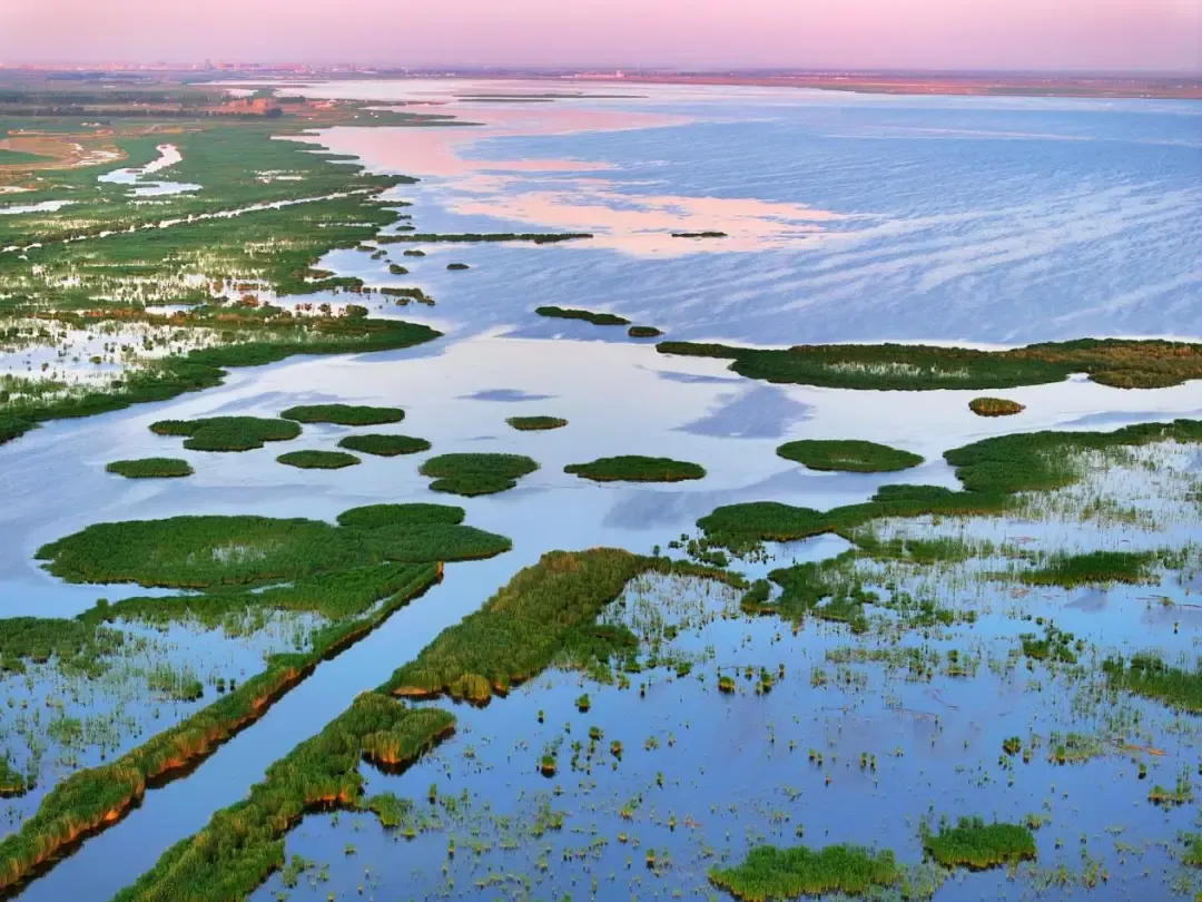 大量韩国人涌入内蒙古巴彦淖尔,打着旅游的名义,不看草原不拍日落,这座被风反复吹过的城市,他们在停什么?