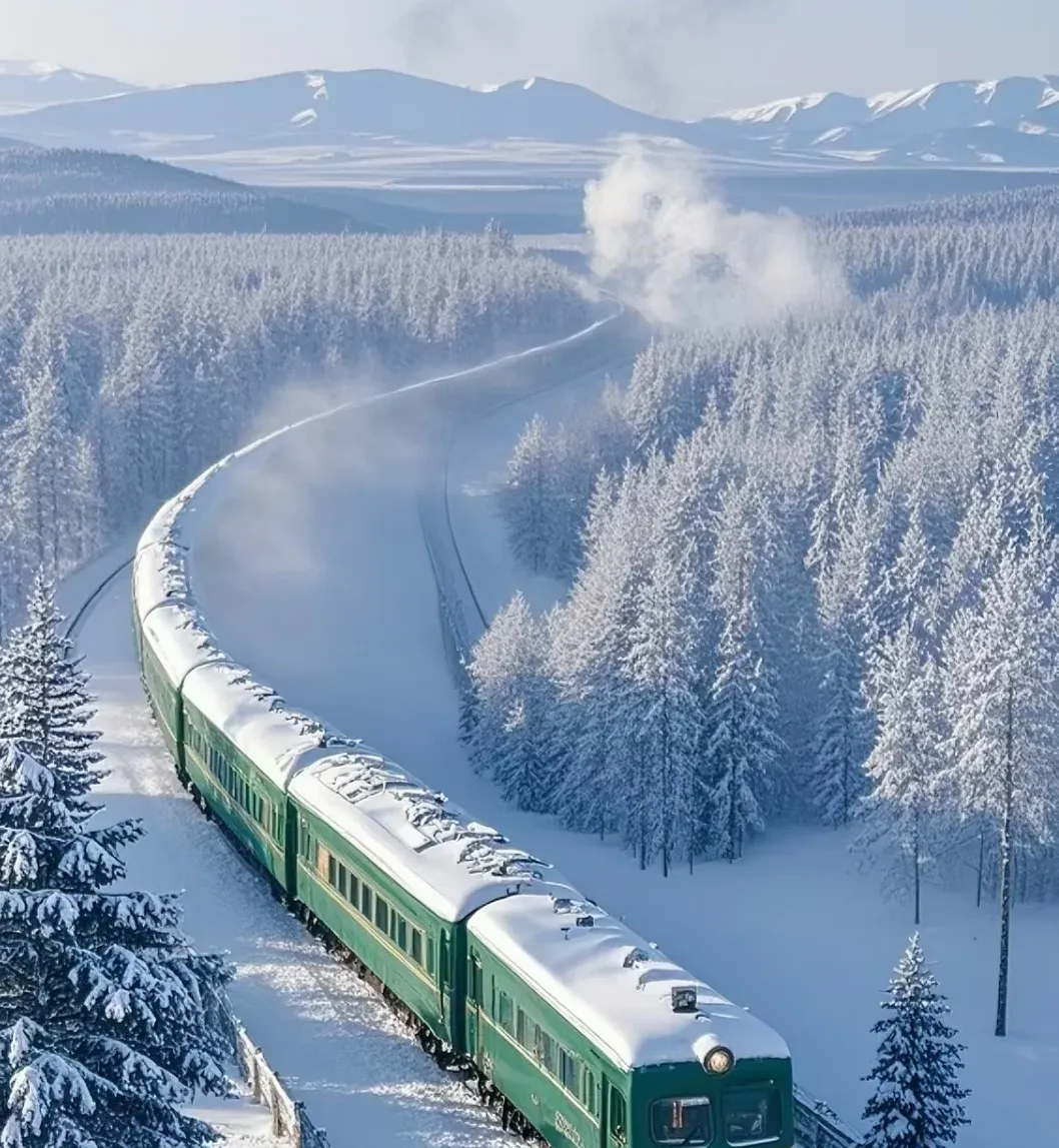 大量日本游客涌入黑龙江哈尔滨,打着旅游幌子不逛太阳岛不吃红肠,为什么