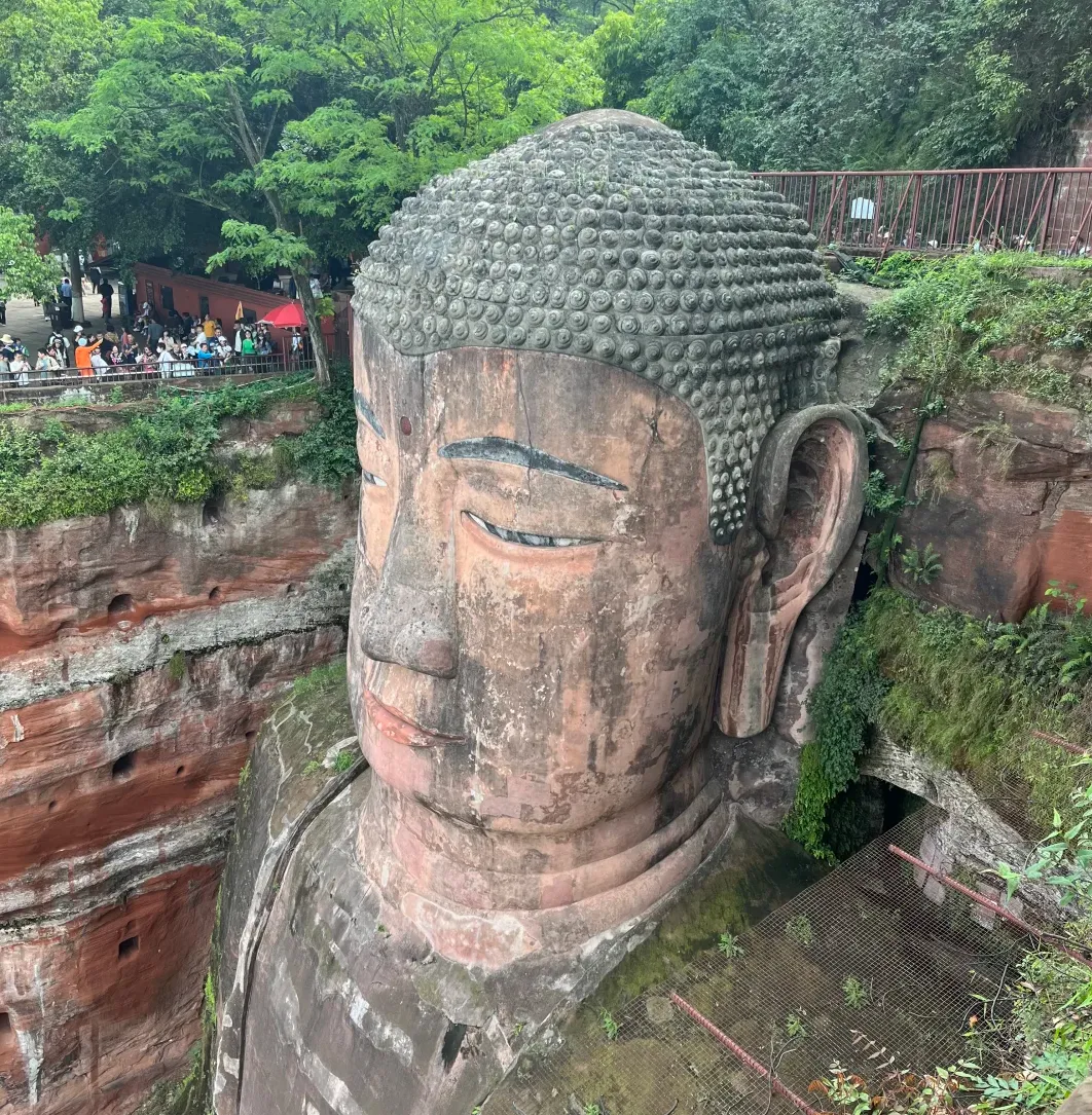 大量日本游客涌入四川乐山,打着旅游幌子不逛乐山大佛不吃甜皮鸭,为什么