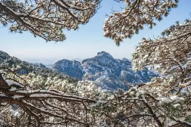 2026年黄山首条爆款线路旅游攻略